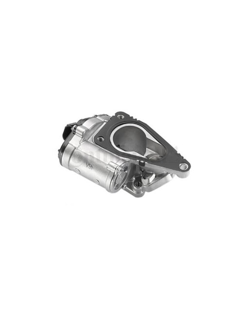 VANNE EGR - RENAULT 1.9L DCI