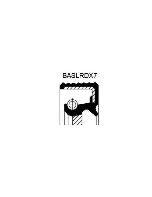 Joint d arbre radial - BASL | BASLR